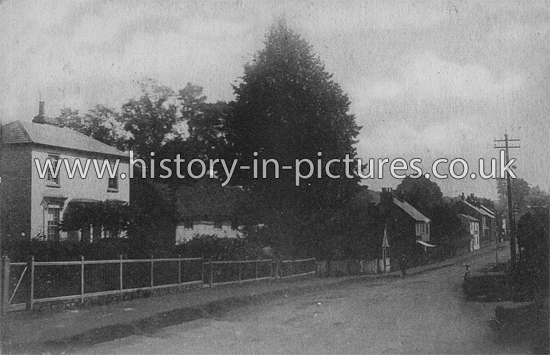 The Village, Potter Street, Essex. c.1913